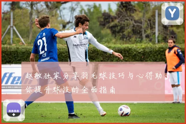 赵敏独家分享羽毛球技巧与心得助你提升球技的全面指南