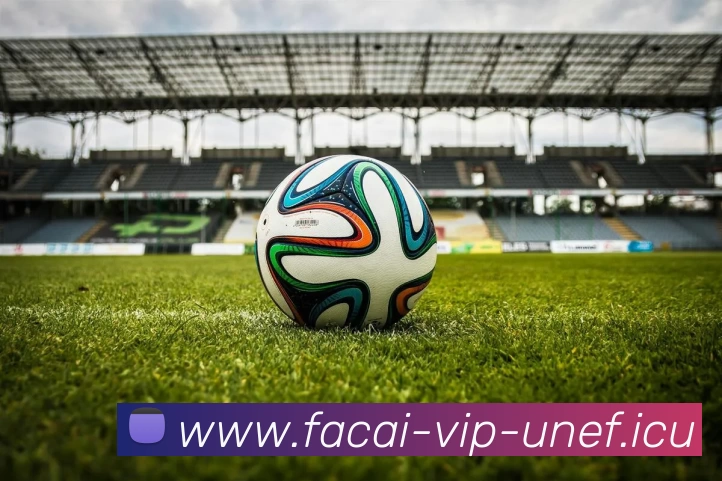 乐鱼体育品牌故事