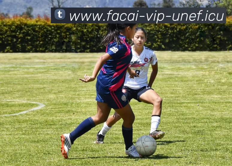 乐鱼体育服务体系